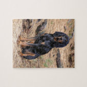 Black and Tan Coonhound Dog Legpuzzel (Horizontaal)
