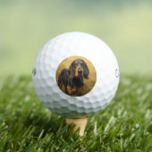 Black and Tan Coonhound Golfballen (Insitu Shirt)