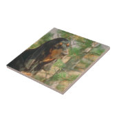 Black and Tan Coonhound Tile Tegeltje (Zijkant)