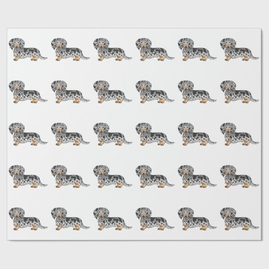 Black and Tan Dapple Long Hair Dachshund Pattern Cadeaupapier (Vlak)