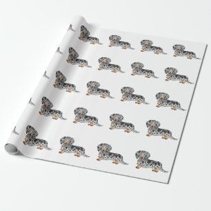 Black and Tan Dapple Long Hair Dachshund Pattern Cadeaupapier