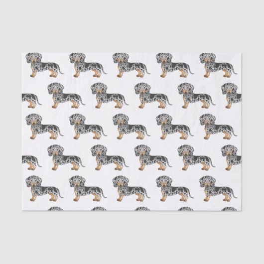 Black and Tan Dapple Short Hair Dachshund Pattern Tissuepapier (Voorkant)