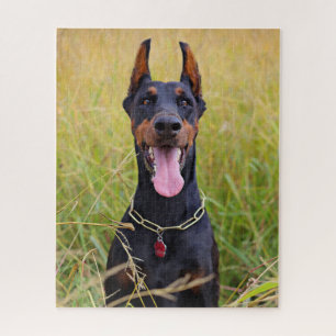 Black and Tan Doberman Pinscher Legpuzzel