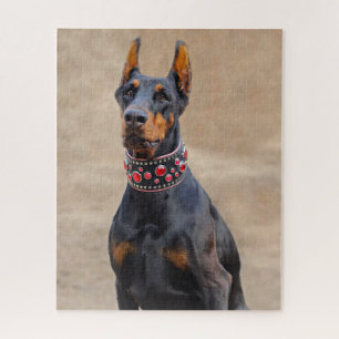 Black and Tan Doberman Pinscher Legpuzzel