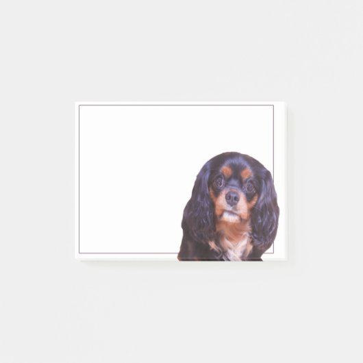 Black and Tan King Charles Spaniel schrijft Post-it® Notes (Voorkant)