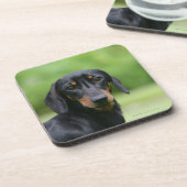 Black and Tan Miniture Dachshund 1 Bier Onderzetter (Linkerzijde)