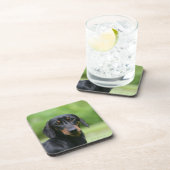 Black and Tan Miniture Dachshund 1 Bier Onderzetter (Rechterzijde)