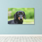 Black and Tan Miniture Dachshund 1 Canvas Afdruk (Insitu (Houten vloer))