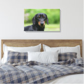 Black and Tan Miniture Dachshund 1 Canvas Afdruk (Insitu (Slaapkamer))