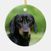 Black and Tan Miniture Dachshund 1 Keramisch Ornament (Voorkant)