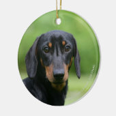 Black and Tan Miniture Dachshund 1 Keramisch Ornament (Links)
