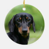 Black and Tan Miniture Dachshund 1 Keramisch Ornament (Achterkant)