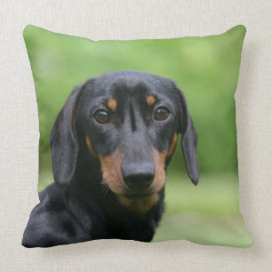 Black and Tan Miniture Dachshund 1 Kussen