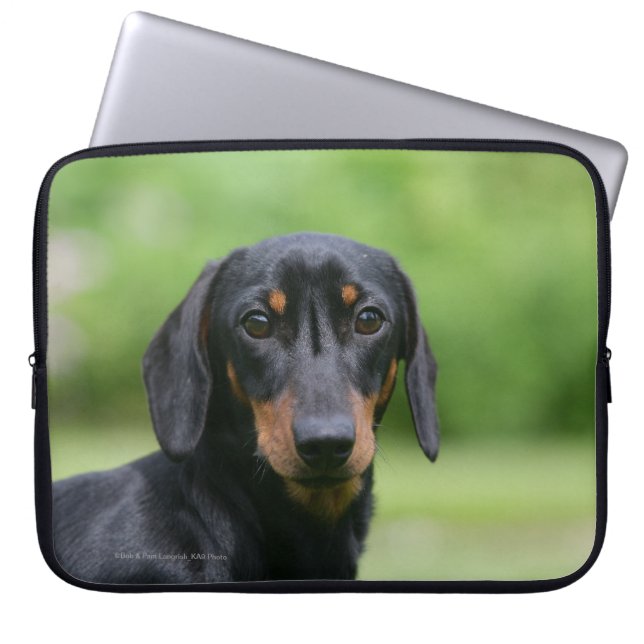 Black and Tan Miniture Dachshund 1 Laptop Sleeve (Voorkant)