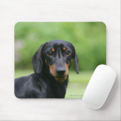 Black and Tan Miniture Dachshund 1 Muismat (Met muis)