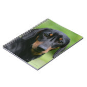 Black and Tan Miniture Dachshund 1 Notitieboek (Linkerzijde)