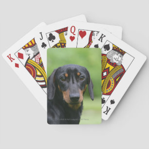 Black and Tan Miniture Dachshund 1 Pokerkaarten