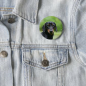 Black and Tan Miniture Dachshund 1 Ronde Button 5,7 Cm (In situ)
