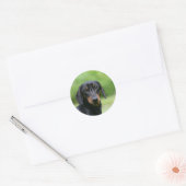 Black and Tan Miniture Dachshund 1 Ronde Sticker (Envelop)