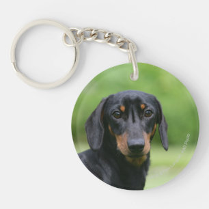 Black and Tan Miniture Dachshund 1 Sleutelhanger