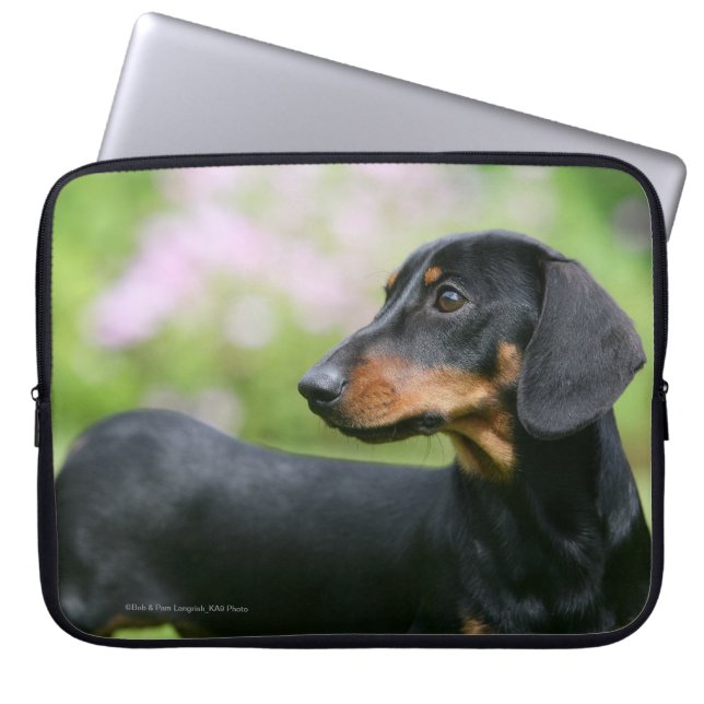 Black and Tan Miniture Dachshund 2 Laptop Sleeve (Voorkant)