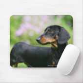 Black and Tan Miniture Dachshund 2 Muismat (Met muis)