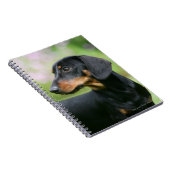 Black and Tan Miniture Dachshund 2 Notitieboek (Rechterzijde)