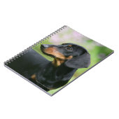 Black and Tan Miniture Dachshund 2 Notitieboek (Linkerzijde)