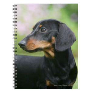 Black and Tan Miniture Dachshund 2 Notitieboek
