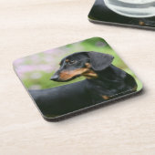 Black and Tan Miniture Dachshund 2 Onderzetter (Linkerzijde)