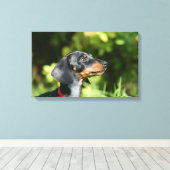 Black and Tan Miniture Dachshund 3 Canvas Afdruk (Insitu (Houten vloer))