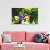 Black and Tan Miniture Dachshund 3 Canvas Afdruk (Insitu (Woonkamer))