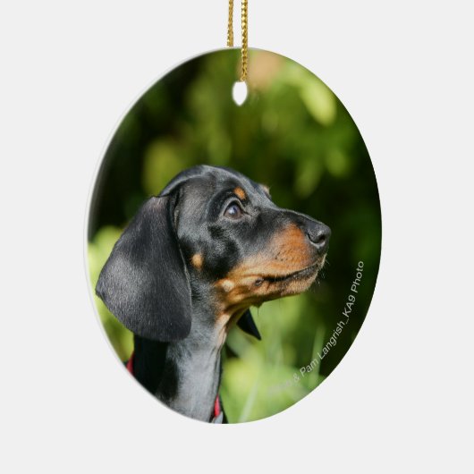 Black and Tan Miniture Dachshund 3 Keramisch Ornament (Rechts)