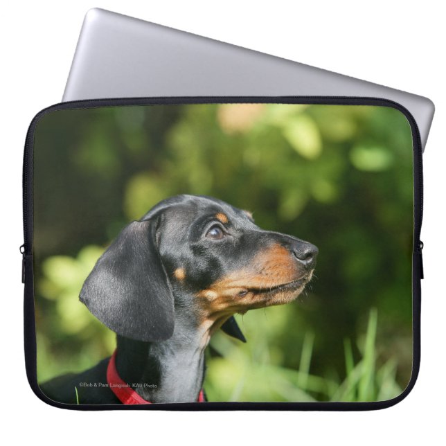 Black and Tan Miniture Dachshund 3 Laptop Sleeve (Voorkant)