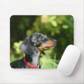 Black and Tan Miniture Dachshund 3 Muismat (Met muis)