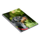 Black and Tan Miniture Dachshund 3 Notitieboek (Rechterzijde)