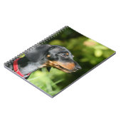 Black and Tan Miniture Dachshund 3 Notitieboek (Linkerzijde)