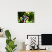 Black and Tan Miniture Dachshund 3 Poster (Thuiskantoor)
