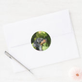 Black and Tan Miniture Dachshund 3 Ronde Sticker (Envelop)