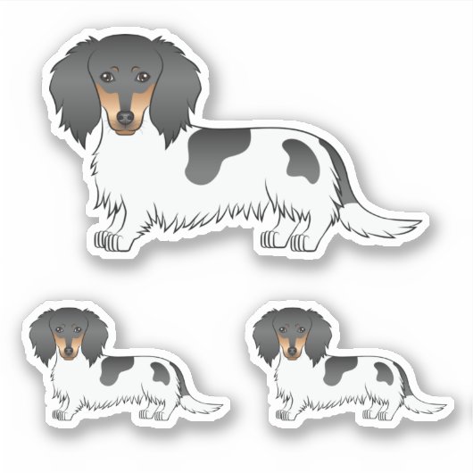 Black and Tan Piebald Long Hair Dachshund Dogs Sticker (Voorkant)