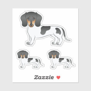 Black and Tan Piebald Short Hair Dachshund Dog Sticker