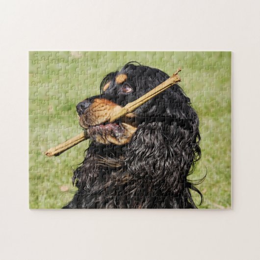 Black and Tan Playful Cocker Spaniel Puppy Dog Legpuzzel (Horizontaal)