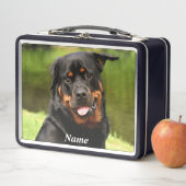 Black and Tan Rottweiler Puppy Dog (In situ)