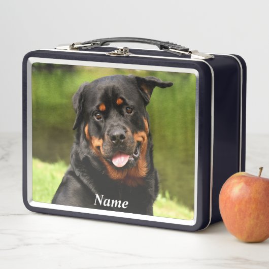 Black and Tan Rottweiler Puppy Dog (In situ)