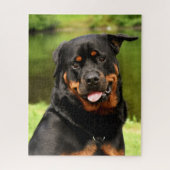Black and Tan Rottweiler Puppy Dog Legpuzzel (Verticaal)