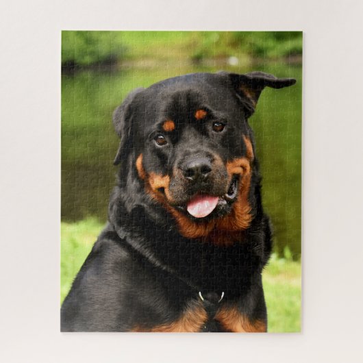 Black and Tan Rottweiler Puppy Dog Legpuzzel (Verticaal)