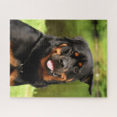 Black and Tan Rottweiler Puppy Dog Legpuzzel (Horizontaal)