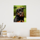 Black and Tan Rottweiler Puppy Dog Poster (Keuken)