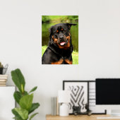 Black and Tan Rottweiler Puppy Dog Poster (Thuiskantoor)