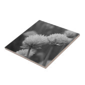Black and White Allium Flower Photography Tegeltje (Zijkant)